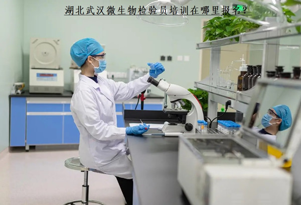 武汉微生物检验员培训在哪里报名.jpg