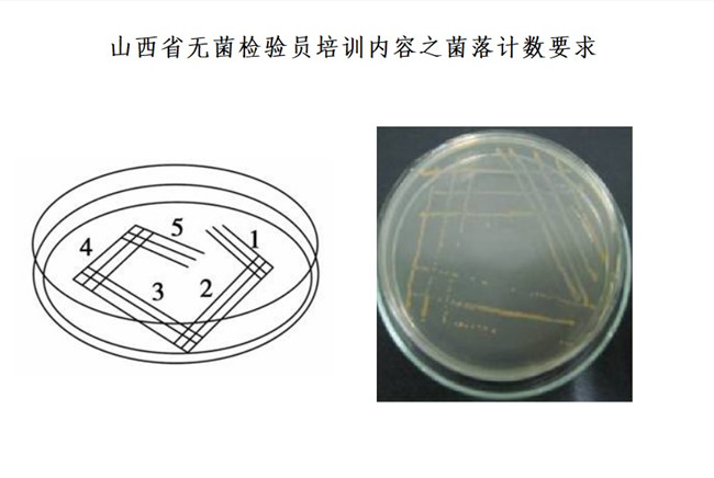 山西省无菌检验员培训.jpg