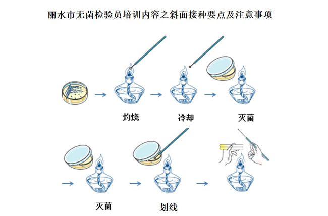 丽水市无菌检验员培训.jpg