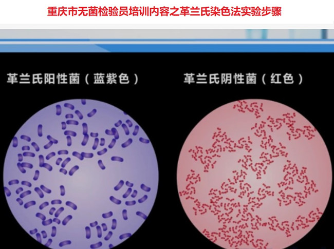 重庆市无菌检验员培训.jpg 重庆市无菌检验员培训.jpg