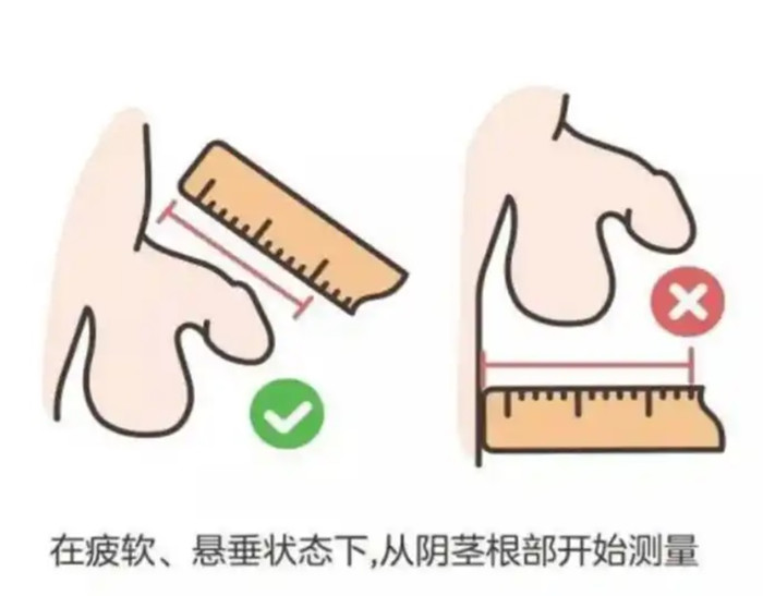 怎么正确测量小鸡鸡的尺寸.jpg 怎么正确测量小鸡鸡的尺寸.jpg